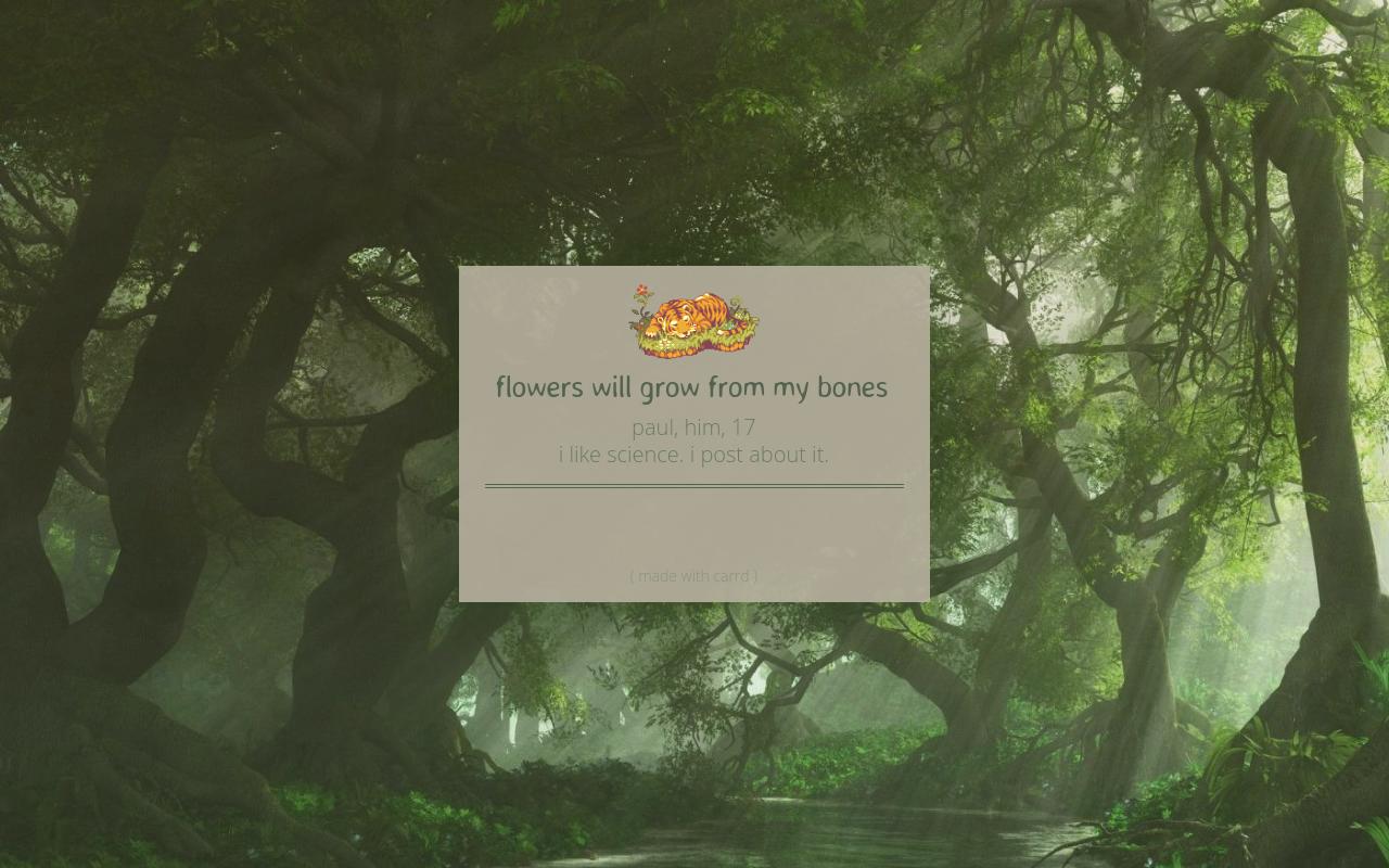 Carrd profile picture for @bone